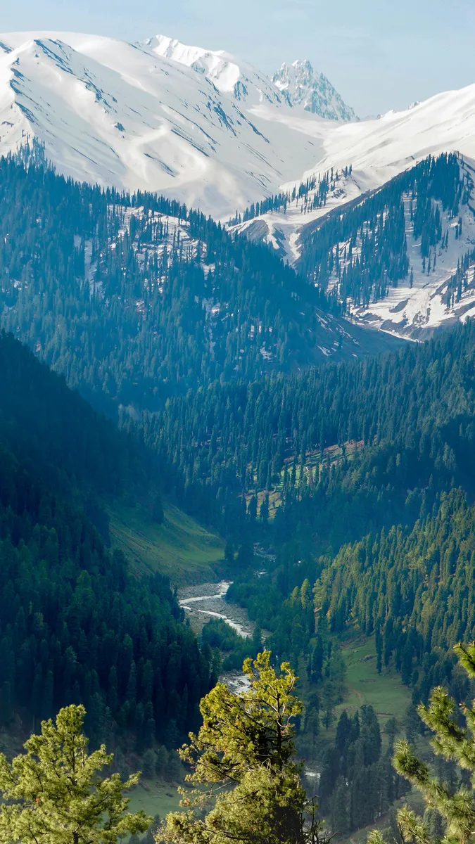 hellobeekay-GCVc7KSS_9U-unsplash_result