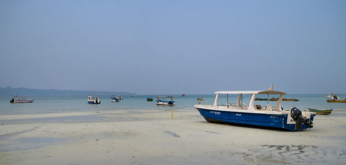 siddhesh-mangela-sYx4mld8Lyk-unsplash_result