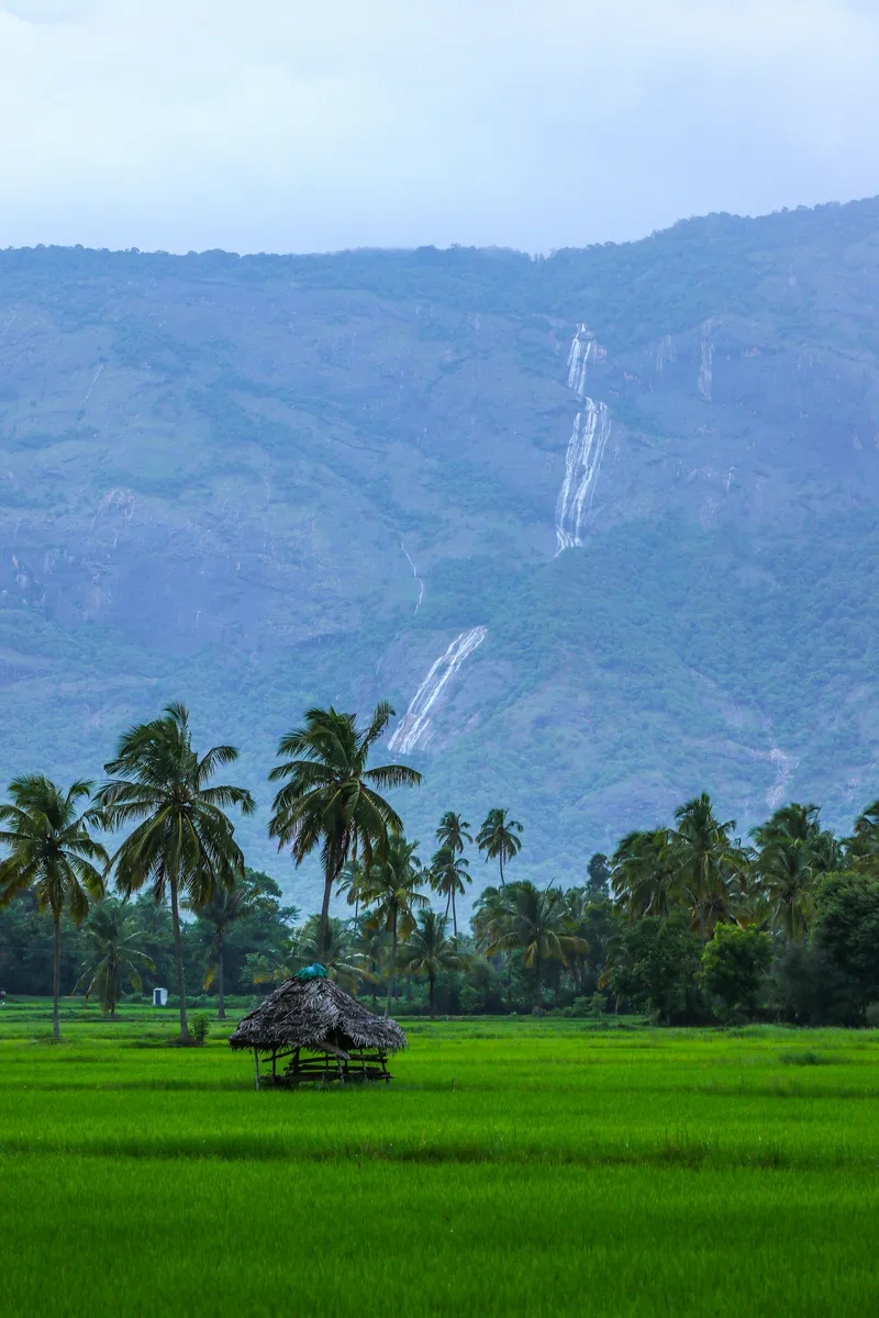 sreehari-devadas-ooAFvQKgJz8-unsplash_result